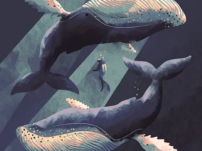 Whales diver illustration ocean procreate scuba texture water whale whales