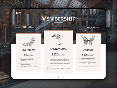 dailyUI - 030 - Pricing daily 100 challenge dailyui dailyuichallenge museum membership pricing ui uidesign