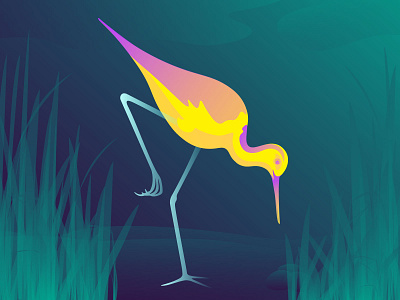 Bird Illustration flat illustration ui