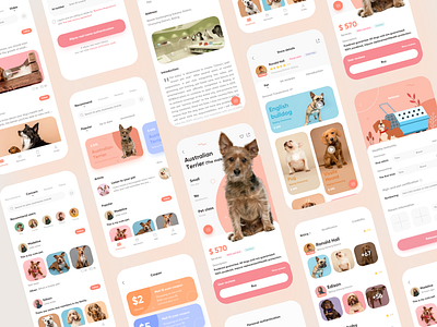 Pet app banner branding design illustration pet pet app ui