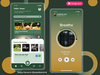 The Meditation App interface meditation app mobile app uidesign uiux