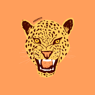jaguar animal art animal illustration jaguars