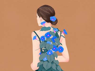 illustrations-Adjust