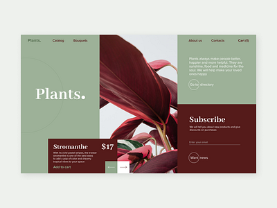 Just plants dailyinspiration design designinspiration interface plant plants shop store ui uidesign userexperience ux uxdesign web webdesigner website