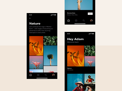 Photography app app clean dark mode details gallery grid home screen list minimal mobile photography simple ui ux