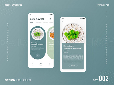 Plant APP exercises design logo ui ux 图标