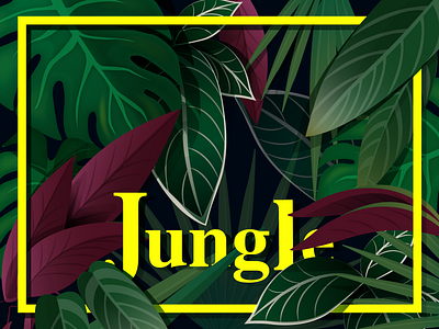 Tropical Plants flowers jungle nature plants summer tropical tropical background tropical leaves tropical plants