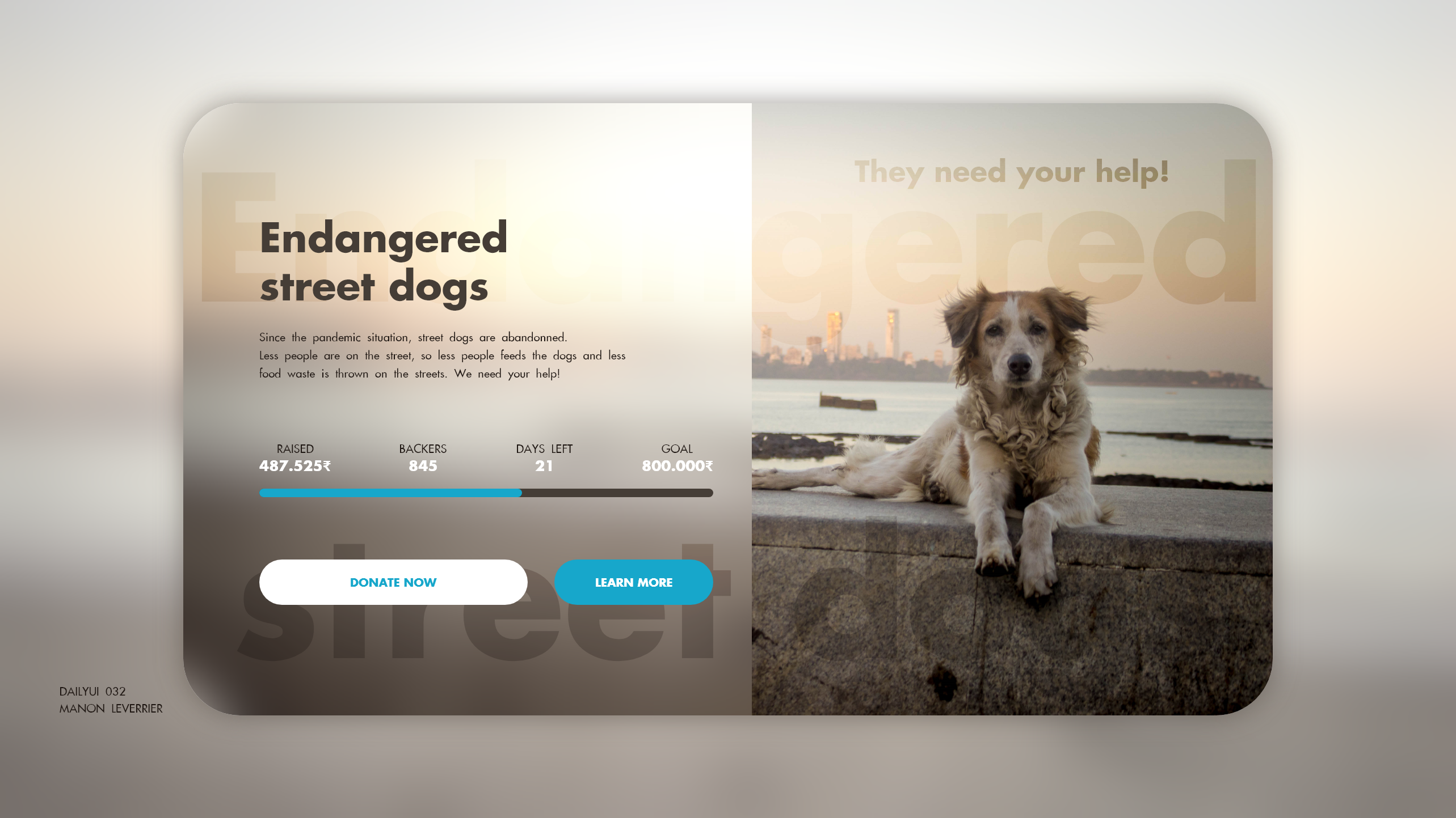 Example of DailyUI 032 Crownfunding