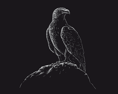 Eagle bird illustration black and white eagle engraving illustration inverted lineart nature illustration shading white on black