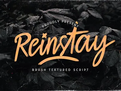 Reinstay - Brush Script Font calligraphy casual classy elegant feminime handdrawn handlettering handwritten ligature logotype luxury modern signature stylish whimsical