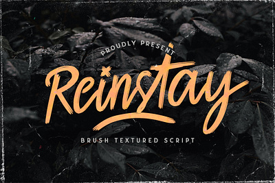 Reinstay - Brush Script Font calligraphy casual classy elegant feminime handdrawn handlettering handwritten ligature logotype luxury modern signature stylish whimsical