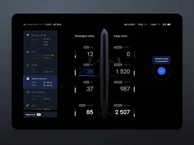 Plane weight setup 3d plane ui