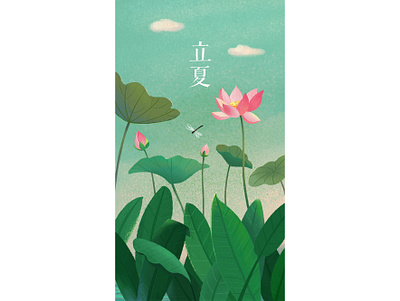 The"Beginning of Summer"(Lixia)（the 7th solar term） botany digital illustration landing page lotus lotus flower summer summertime uidesign