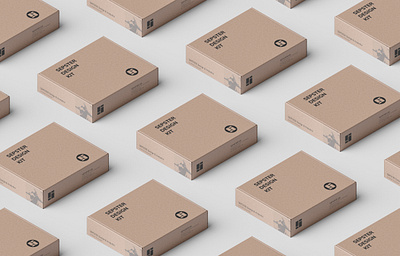package design sepster design kit package design