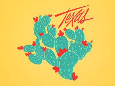 TX Cactus cactus illustration procreate texas tx
