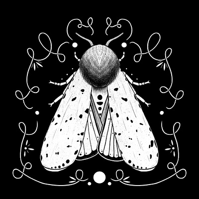 Salt Marsh Moth digital illustration illustration illustrator nature procreate