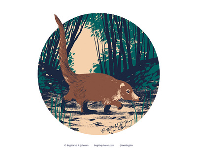 White nosed coati animal art coati cute digital art digital illustration follower suggested image illustration limited colour palette limited colours nose bear six animals white nosed coati