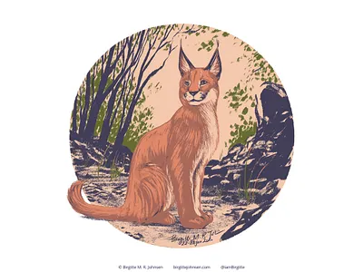Caracal animal art caracal cute digital art digital illustration follower suggested image illustration limited colour palette limited colours six animals wildcat wildcats