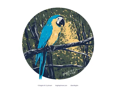 Blue And Gold Macaw animal art bird cute digital art digital illustration follower suggested image illustration limited colour palette limited colours macaw parrot six animals