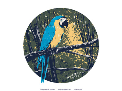 Blue And Gold Macaw animal art bird cute digital art digital illustration follower suggested image illustration limited colour palette limited colours macaw parrot six animals