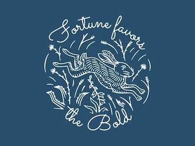 Almagre - Wild Hare almagre animal colorado dessert hare illustration rabbit thin line wild wilderness yucca