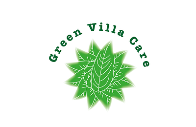 Green Villa Care Logo art branding design flat illustration illustrator logo logo design logodesign ui ux vector