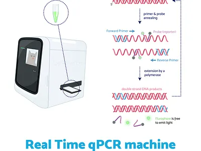 Week9 - qPCR machine biology covid19 dna flat illustration illustration lab sciart scicomm science vector