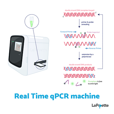 Week9 - qPCR machine biology covid19 dna flat illustration illustration lab sciart scicomm science vector