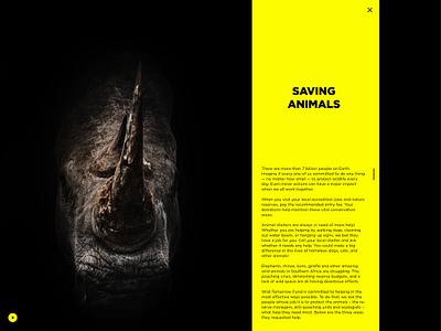 ACT--NOW animals black branding colors concept danger design dribbble help landing page minimal save save animals ui ux webdesign website wild wildlife yellow