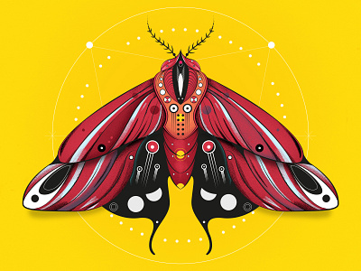 ⚡Moth milkshake animals creativity design dribbble find illustration illustrator photoshop webdesign word