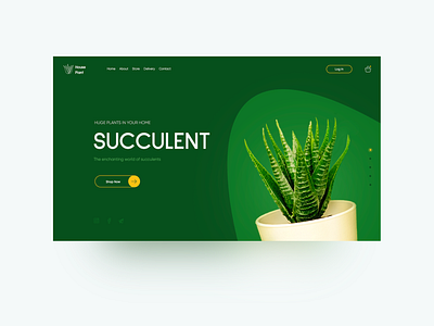 Succulent plants design minimal ui ux web