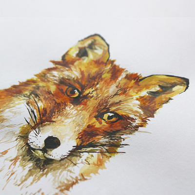 Fox Headshot animals colour design detail fox fur graphicdesign illustration nature nature art photography watercolor watercolor painting watercolour wildlife