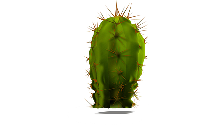 cactus flat illustration vector