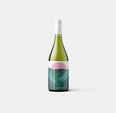 Wine packaging design adobe illustrator cc adobe photoshop cc art branding color color palette design designer graphic design illustraion minimal minimalism package package design packagedesign packaging wine wine bottle wine design wine label