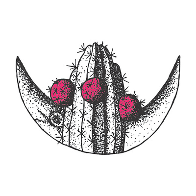 Organ Pipe Cactus arizona cactus desert flora fruit fruit illustration handmade moon night organ pipe pitahaya