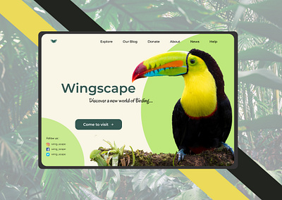 Worldscape animation bird branding design illustrator india landing page photoshop ui ux vector