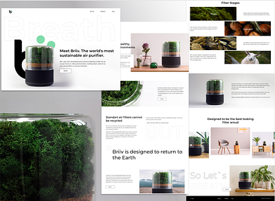Meet Briiv breathe daily 100 challenge dailyui design figma landing page design ui ux web website design