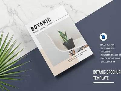 Multipurpose Portfolio Brochure, Photoshop Template branding brochure business catalogue clean download elegant free magazine modern portfolio portfolio page portfolio site template templates