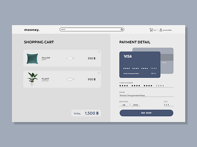 Daily UI challenge Day02 : Credit Card Checkout branding dailyui design illustration minimal ui ux website