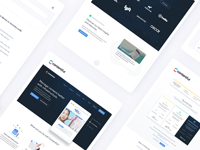 Contentful Web Design cms contentful homepage landing page pricing page saas saas landing page tech technology ui design ux design web design website design