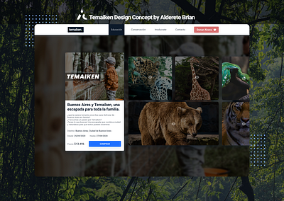 Zoo Concept Design animals figma ui design web web design zoo zoology