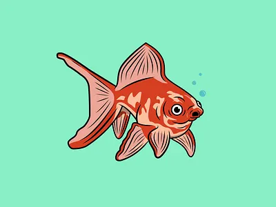 Goldfish Illustration ai design drawing icon illustration vector