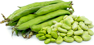 Wholesale Produce Distributors | Nature Dispatch