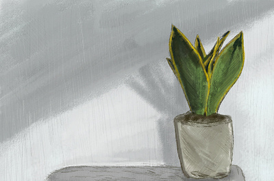 Plant illustration illustrator photoshop wacom wacom intuos