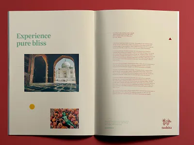 Brochure layout for Tushita Travels book book layout branding branding and identity branding design brochure holi india india book layout magazine print design publication publication design publications taj mahal