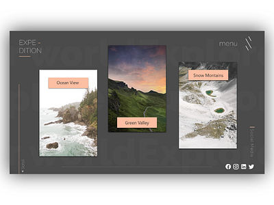 Expedition admin panel branding creative design design illustration logo material minimal ui web