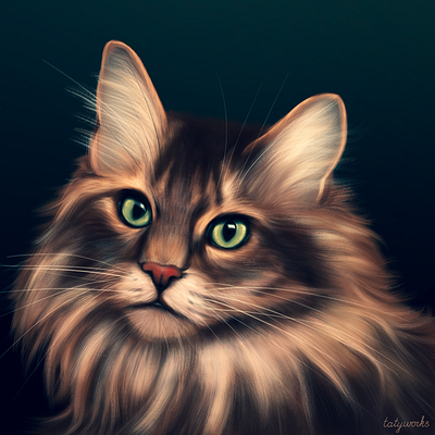 A Cat Portrait animal art animal illustration animals art artist cat cats drawing illustration pet pets procreate procreate art