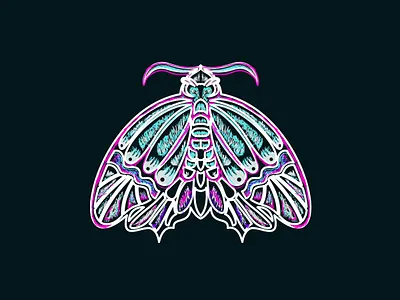Moth branding design dribbblers hello dribbble illustration vector