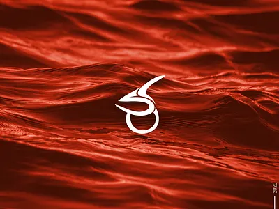 Personal Brand Identity 2020 branding design logo portfolio design typography