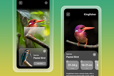 Discover New Birds | with AR scan | App UI app ui bird bird app bird app ui birds birds app ui design discover birds search birds app ui ui design uiux